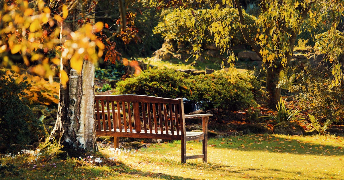 Creating Harmony: Colour Schemes for Seasonal Transitions
