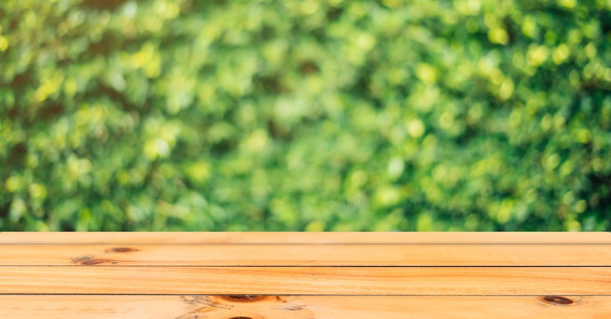 Designing a Seasonal Rotation: Annuals for Year-Round Interest