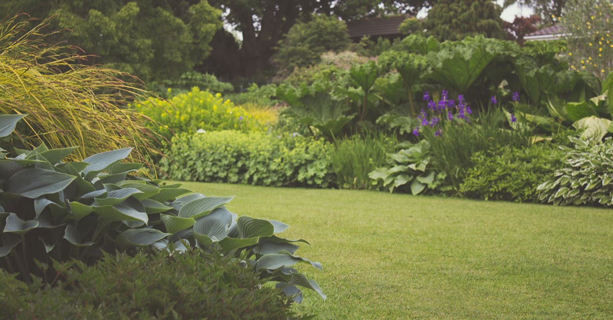 Integrating Fountains for Dynamic Water Features