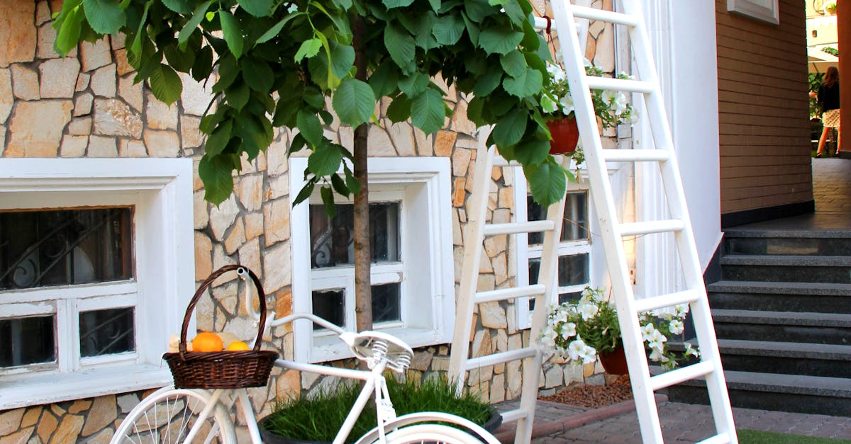 Methods for Improving Soil Structure in Your Garden
