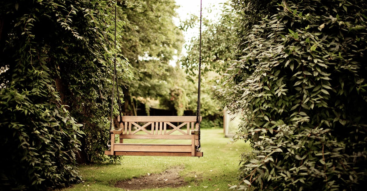 Principles of Effective Garden Layout Design